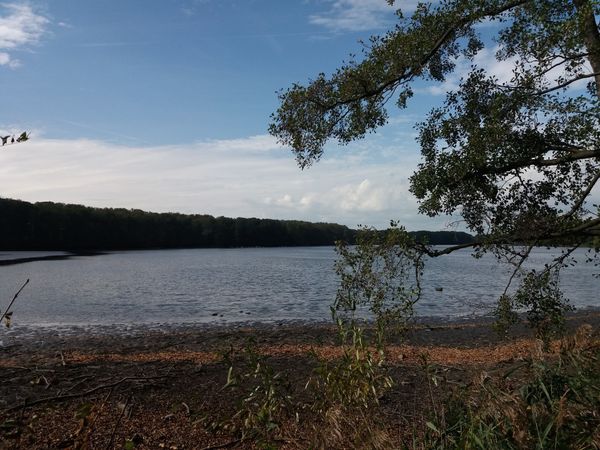 Natur pur: Erkunde Teiche & Tierwelt