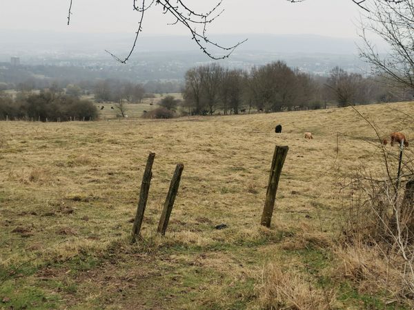 Oase der Ruhe in der Stadt