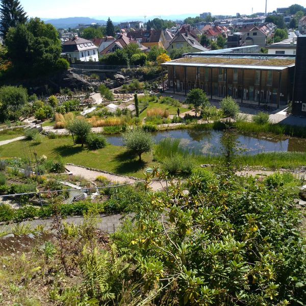 Ein grünes Paradies der Pflanzenwelt