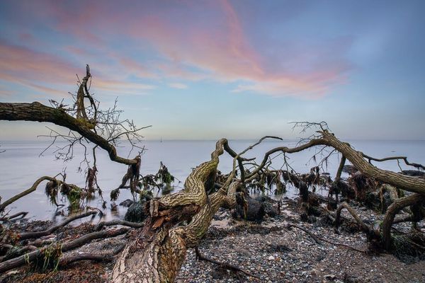 Naturwunder entlang der Ostsee