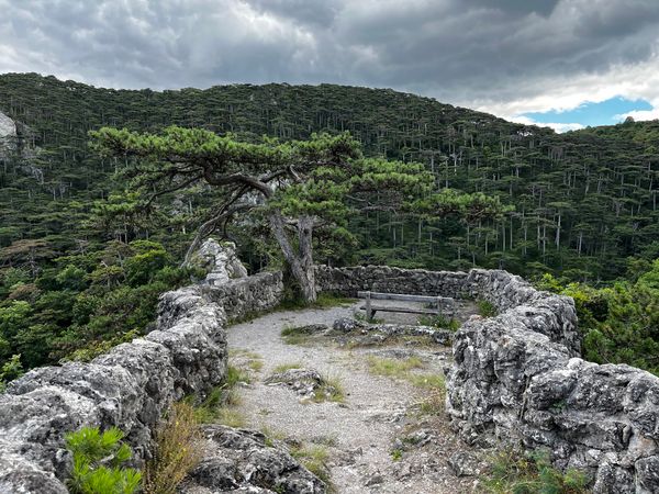 Spektakuläre Aussicht über das Mödlinger Tal