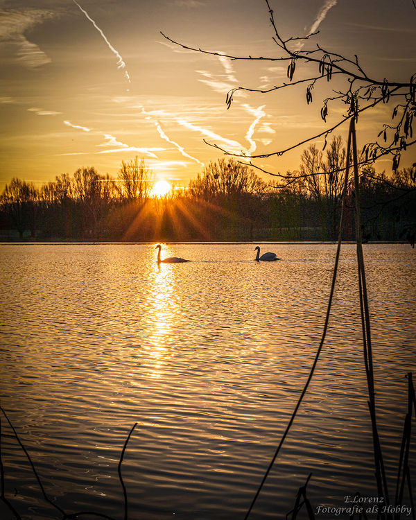 Entspannung und Aktivitäten am Wasser