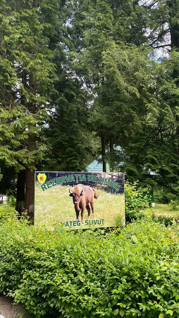 Wildtiere in der Rezervatia de Zimbri