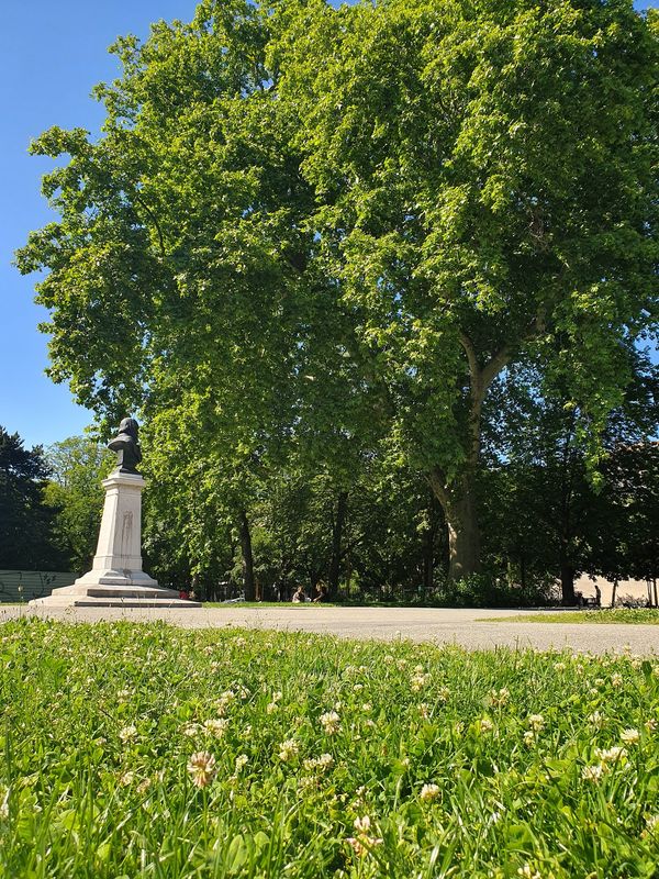 Historische Spaziergänge & Schach