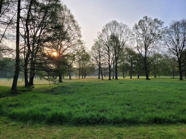 Grüne Oase der Ruhe