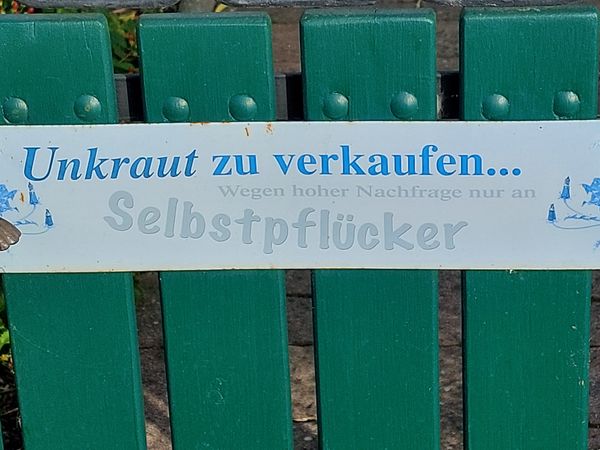 Ruhige Naturidylle am Meer