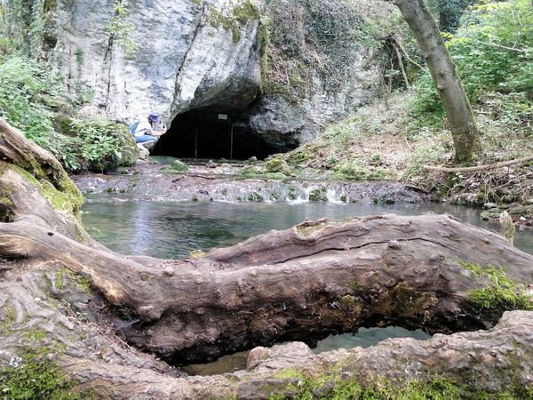 Erfrischende Naturschönheiten entdecken