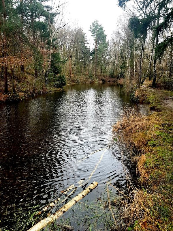 Naturerlebnis im Eschweiler Stadtwald