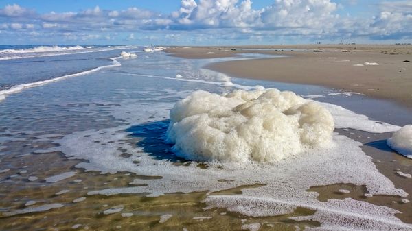 Spannende Wattwanderung erleben