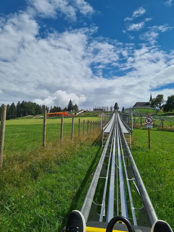 Adrenalin pur auf der Sommerrodelbahn