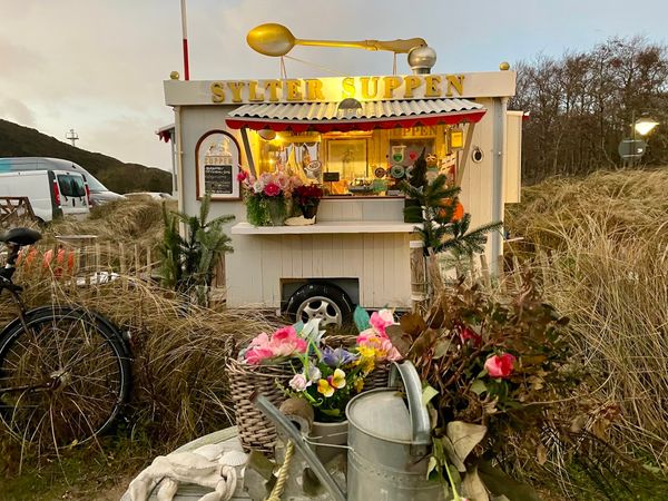 Vegane Suppenträume werden wahr