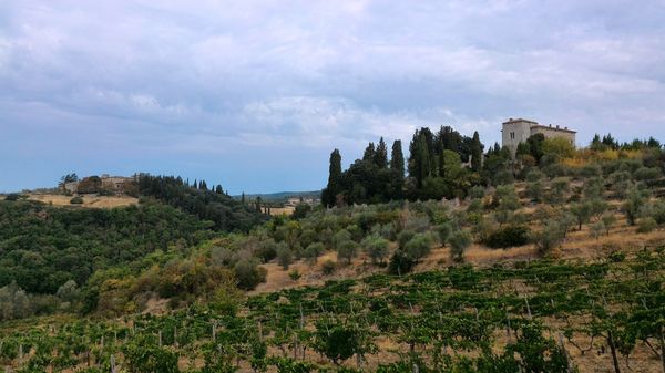 Weinproben in der malerischen Chianti-Region