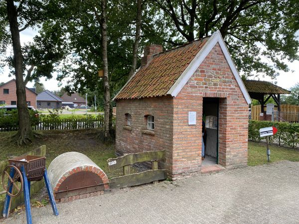 Spannende Einblicke in die Moorlandschaften