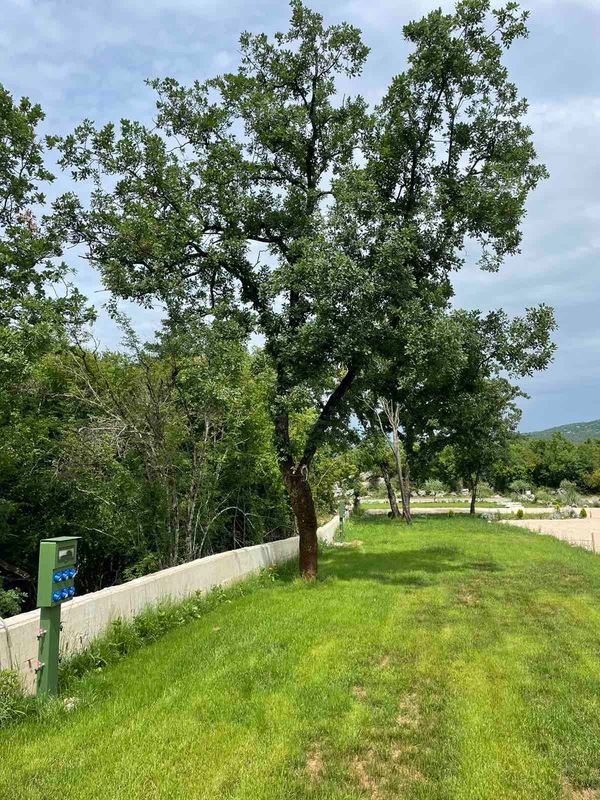 Natur pur im brandneuen RV Camp