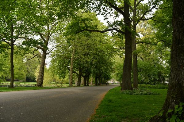 Grüne Oase der Ruhe