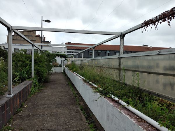 Grüne Oase auf einem Bahnhofsdach