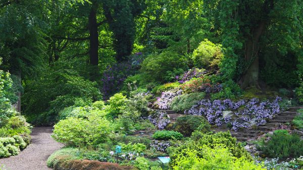 Botanische Vielfalt bestaunen