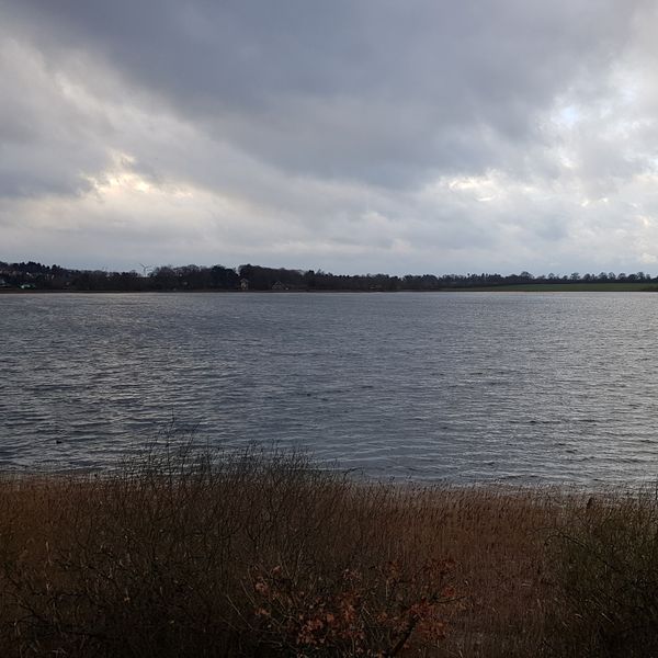 Naturerlebnis an der Pönitzer Seenplatte