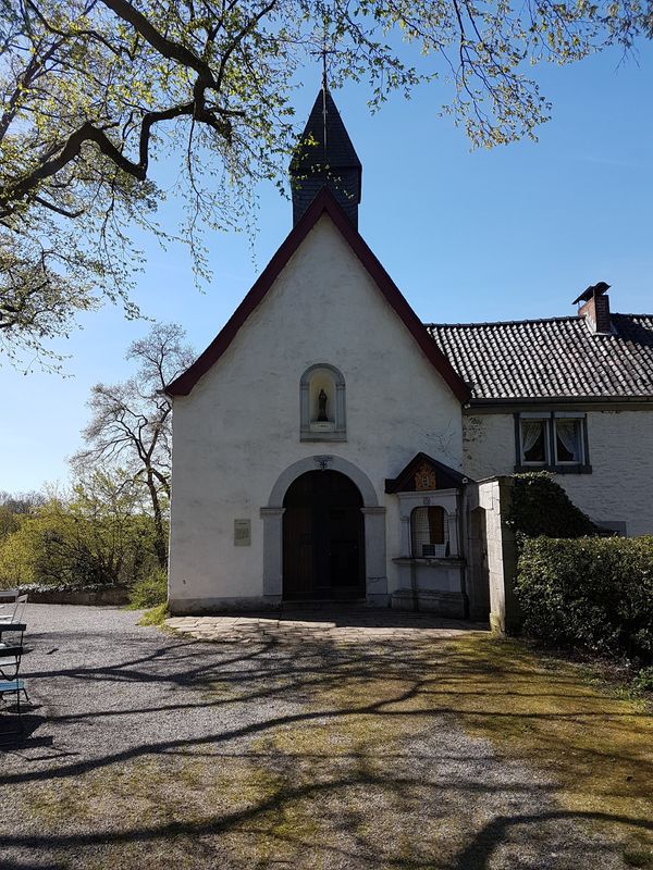 Historische Wälder mit geologischen Wundern