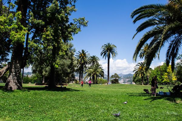 Picknick mit Aussicht