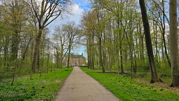 Friedliche Natur nahe der Stadt