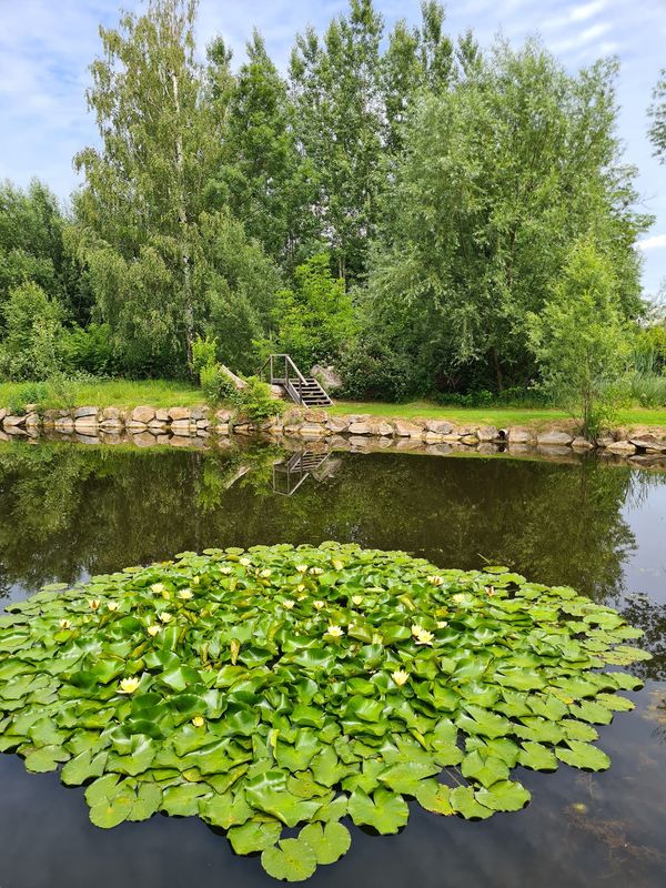Idyllische Momente am Wasser, umgeben von purer Natur