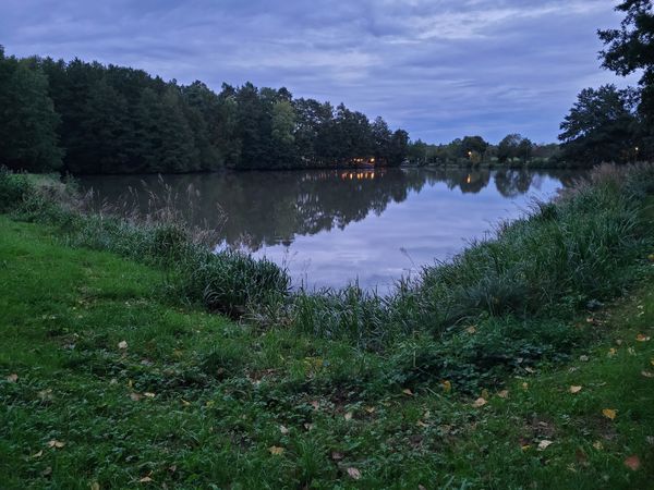 Moderne Küche im Waldambiente