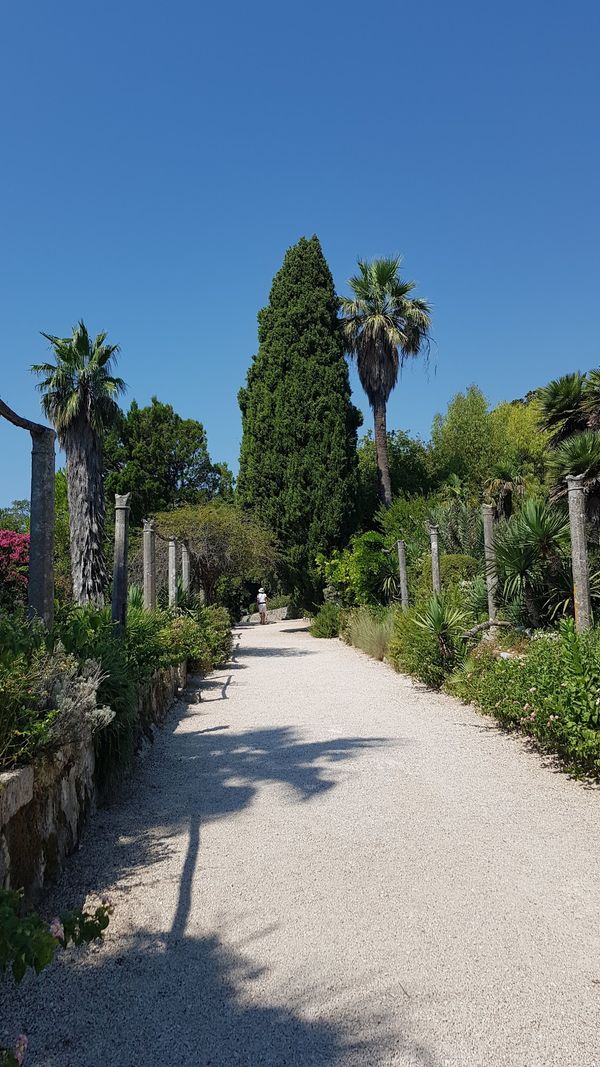 Botanische Schätze nahe Dubrovnik