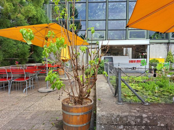 Frühstück im Botanischen Garten