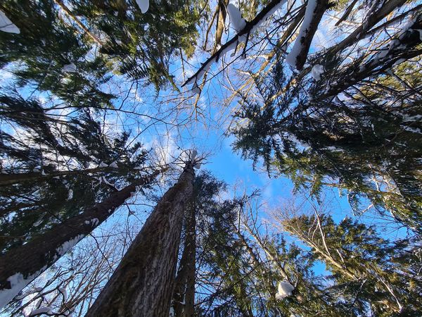 Unberührte Natur erleben