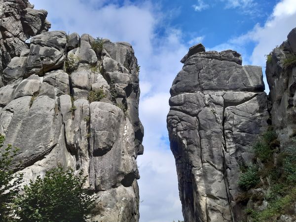 Abenteuer im mystischen Wald