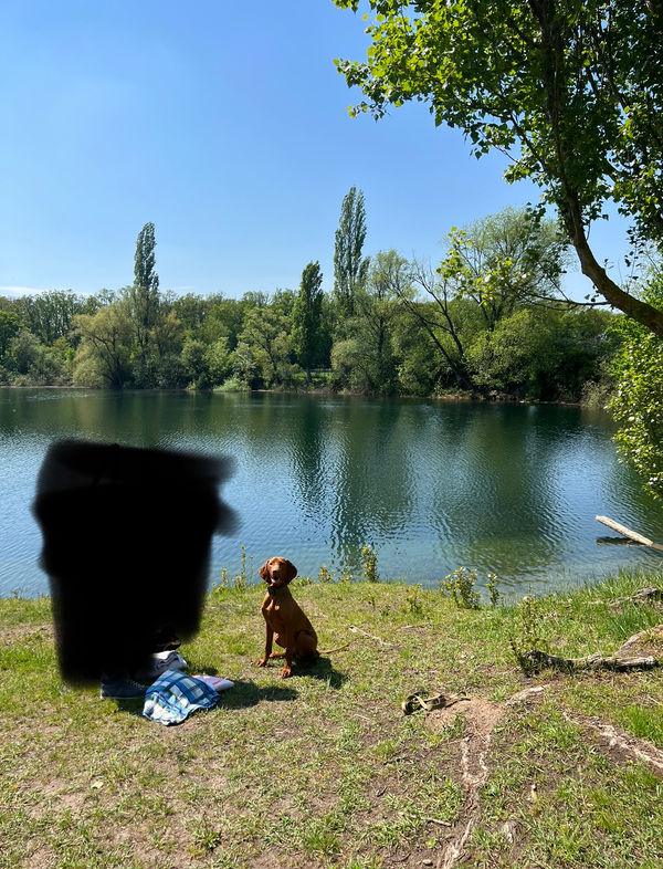 Ruhe und Natur am malerischen Kiesteich genießen