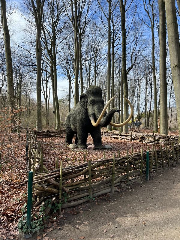 Tierisches Vergnügen für die Familie