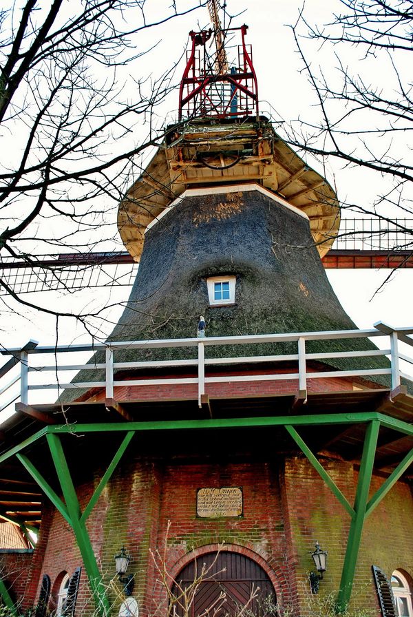 Historische Windmühlen in malerischer Landschaft