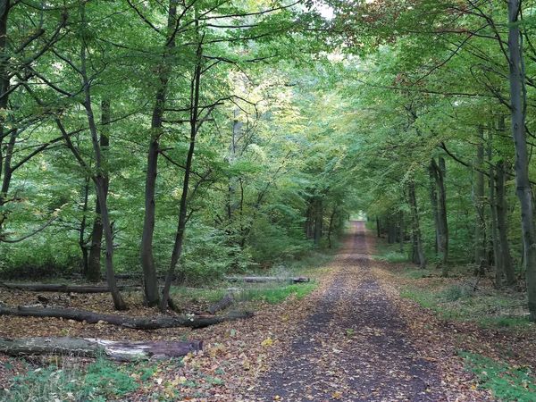 Natur pur am Stadtrand