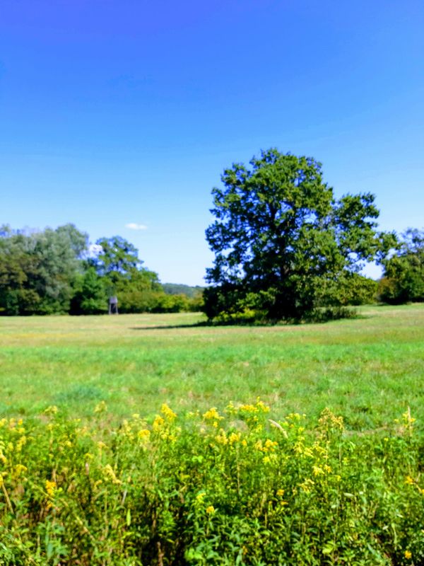 Natur pur im Nationalpark