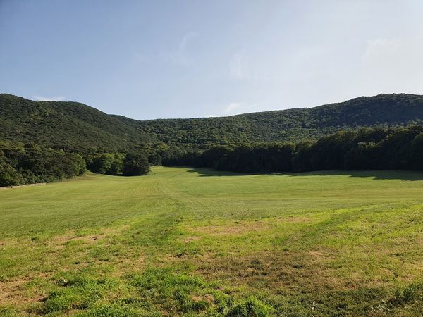 Perfekter Ort für ein entspanntes Picknick