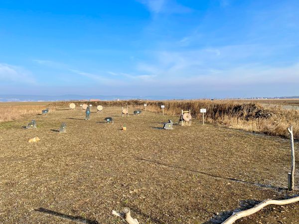 Abenteuerliche Bogenschieß-Erfahrung in der Natur