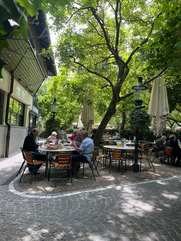 Traditionelle Wiener Stelze im legendären Biergarten