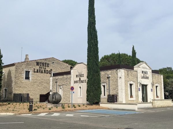 Erlebe die lila Pracht der Provence