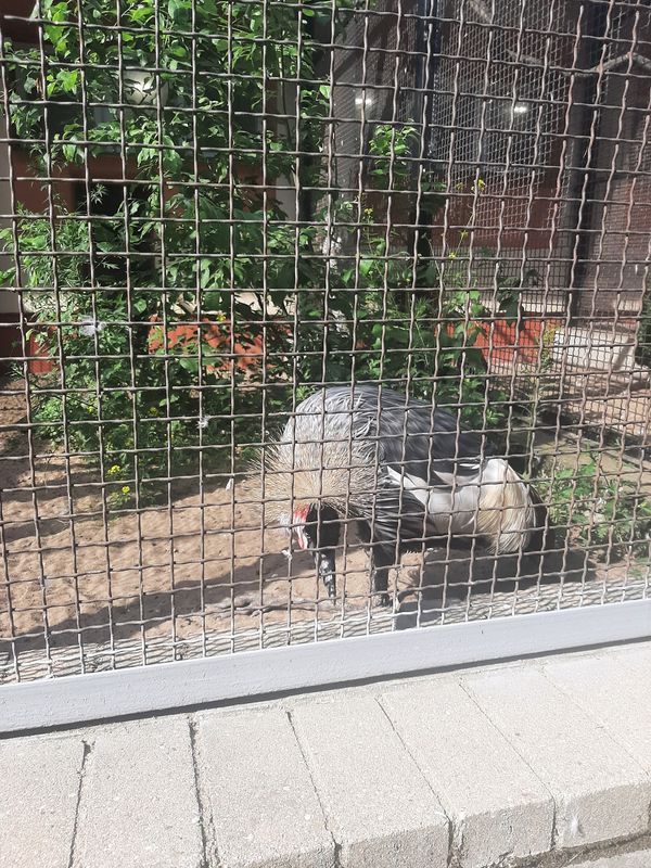 Tierische Abenteuer für die ganze Familie