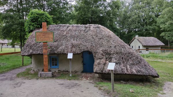 Spannende Einblicke in die Moorlandschaften