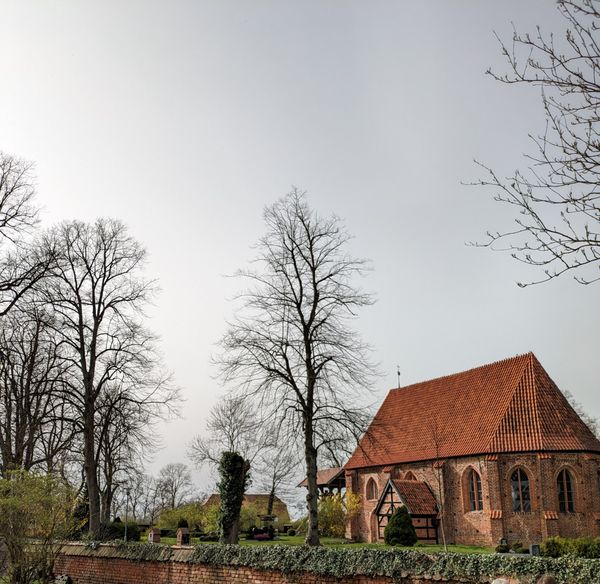 Veganes Paradies in Groß Trebbow