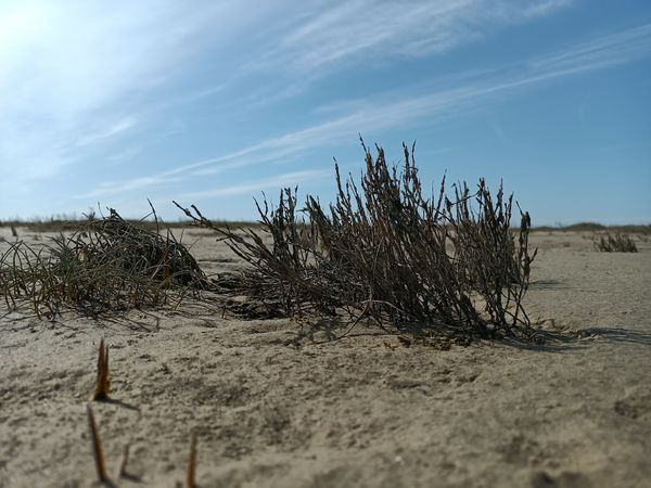 Naturerlebnis im UNESCO Welterbe