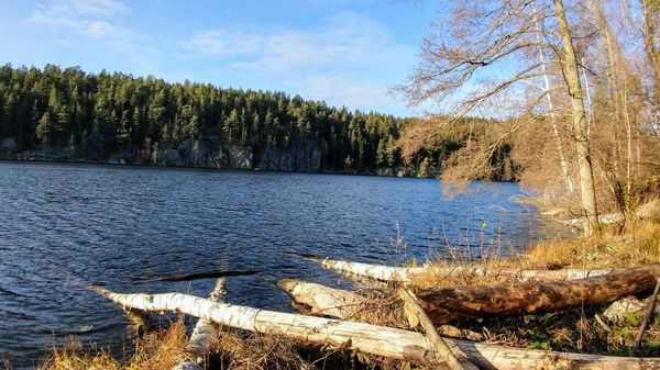Abenteuer und Erholung im Grünen