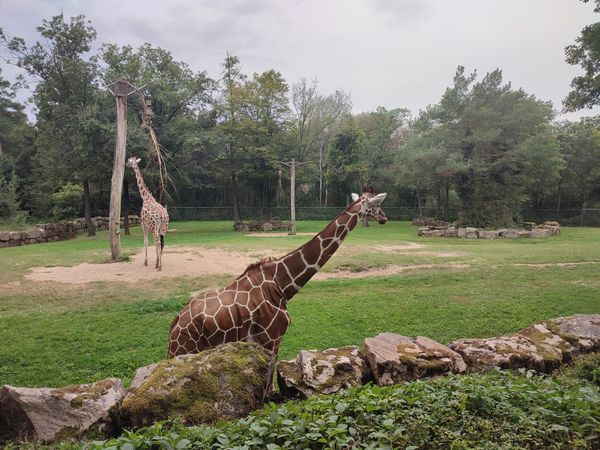 Entdecke faszinierende Tierwelten