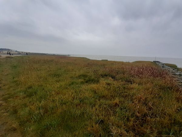 Naturwunder an der Nordseeküste