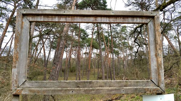 Ein Stück Natur in der Stadt