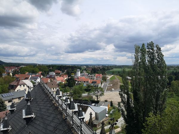 Wein und Kultur am Elbhang