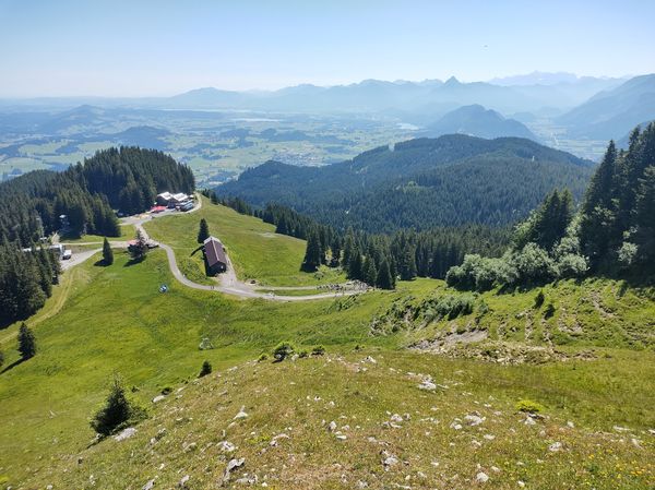 Lausche den Trommeln der Spechte